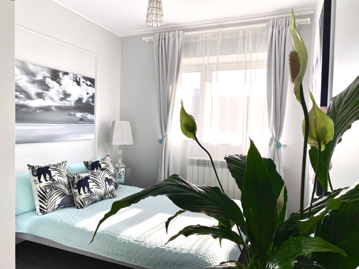 Dream Boutique Apartment 42M2 In The Heart Of Cracow Old Town 크라쿠프 외부 사진